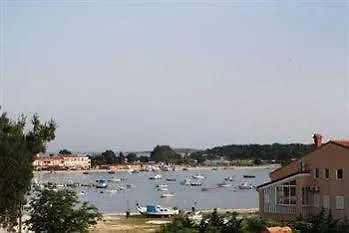 Zibi